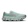 Cloudmonster3   Brook | Flurry